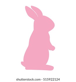 cute rabbit character isolated