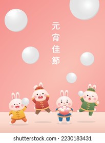 Cute rabbit character or mascot, Lantern Festival or Winter Solstice with glutinous rice balls, glutinous rice sweet food in Asia, Chinese translation: Lantern Festival