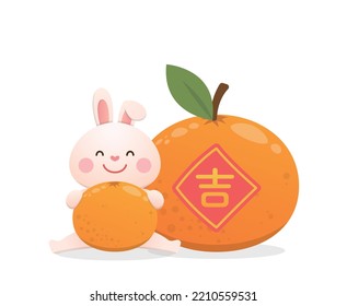 Cute rabbit character or mascot with tangerine, Chinese New Year, Year of the Rabbit, vector cartoon style, Chinese translation: Auspicious