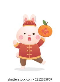 Cute rabbit character or mascot with tangerine, Chinese lunar new year elements, year of the rabbit, vector cartoon style, Chinese translation: auspicious