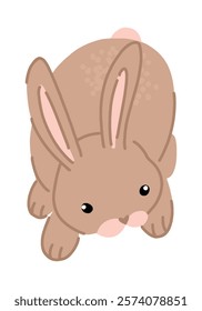 Cute rabbit clipart. Contemporary vector illustration of bunny pretty animal isolated on white.