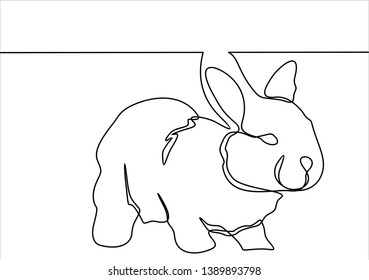 cute rabbit continuous line drawing