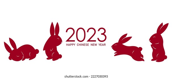 cute rabbit costume happy chinese year chinese lunar new year