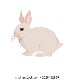 Cute rabbit. Country pet. Isolated character on a white background. Vector illustration in a flat style.