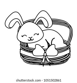 cute rabbit design