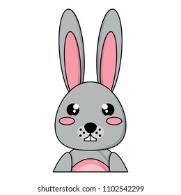 Cute rabbit design