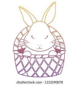 cute rabbit design