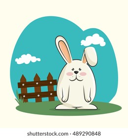 cute rabbit design
