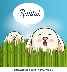 cute rabbit design