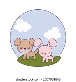 cute rabbit with dog in landscape