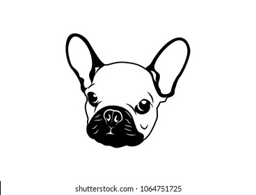 3,045 Frenchie face Images, Stock Photos & Vectors | Shutterstock