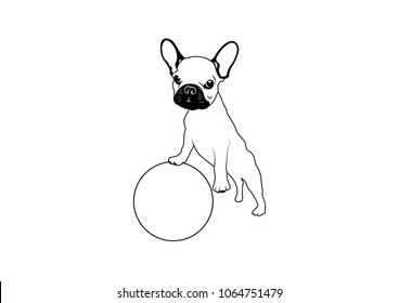 Cute Rabbit Ear Frenchie and His Ball in Black and White. This style is suitable for making stencil art, die-cut, cute screen t-shirt,laser-cut, street art, and graffiti.