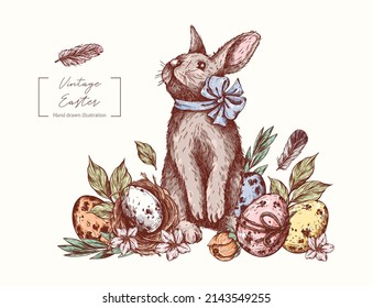 Cute Rabbit with Easter eggs in engraving style. Easter eggs spotted, nest, bow, apple blossom, leaves, feathers. Vintage vector hand drawn. Easter illustration for card, invitations, package