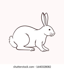 Cute Rabbit, Eater Bunny, Simple Illustration, Isolated Vector