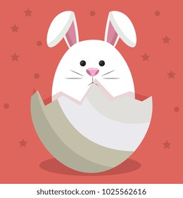cute rabbit in egg