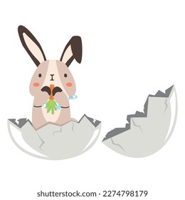 Cute rabbit in egg vector cartoon