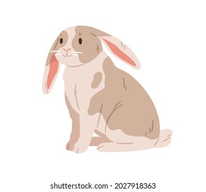 Cute rabbit of English lop breed. Domestic bunny animal with floppy ears. Coney pet with spots. Adorable hare. Realistic flat vector illustration isolated on white background