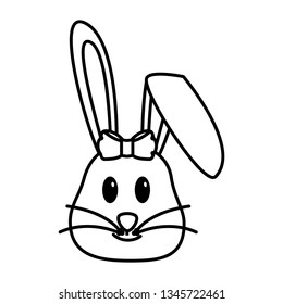 cute rabbit face