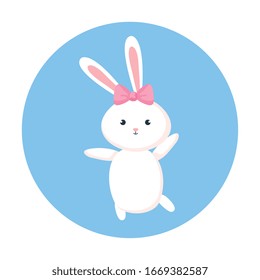 cute rabbit female animal in frame circular vector illustration design