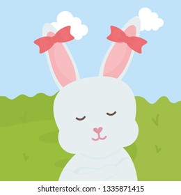 cute rabbit female in the field
