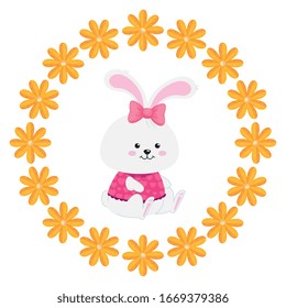 cute rabbit female in frame circular of flowers vector illustration designicon