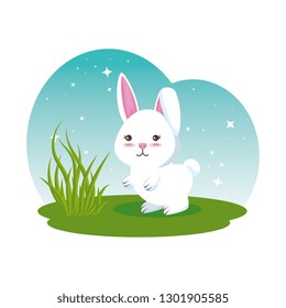 cute rabbit in the field character