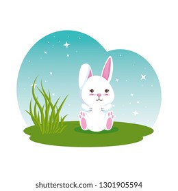 cute rabbit in the field character