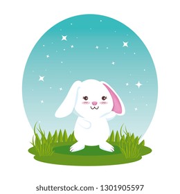 cute rabbit in the field character