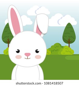 cute rabbit in the field landscape character