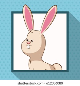 cute rabbit frame picture