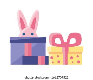 cute rabbit with gift boxes on white background vector illustration design
