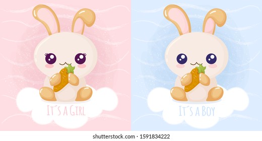 Cute rabbit it´s a girl it´s a boy. Vector illustration