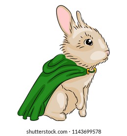 Cute rabbit in a green raincoat. Draw lines