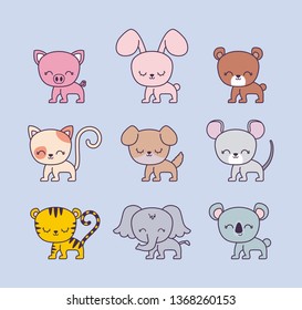 cute rabbit with group animals