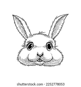 Cute Rabbit, Hand drawn illustration, isolated vector