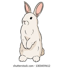 Cute rabbit hand drawn lineart isolated doodle