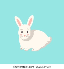 cute rabbit hare with blue background
