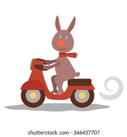 cute rabbit, hare with scarf on scooter,motorcycle.vector,EPS8,easter bunny,easter bunny vector,easter bunny traveling,motorbike vector,sport vector,transport vector,easter bunny isolated,bunny vector