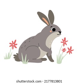 Cute rabbit. Hare. Vector hand drawn illustration for kids wear, greeting card, design, decoration.