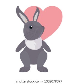 cute rabbit heart love