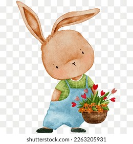 Cute Rabbit holding flower,Cartoon Watercolour hand paint funny Bunny,Hare character element for Easter greeting card,Spring,Summer poster,Vector illustration portrait animal on transparent background