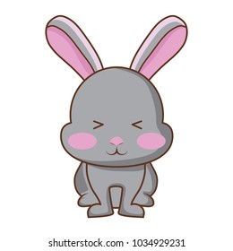 Cute rabbit icon 