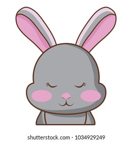 Cute rabbit icon 