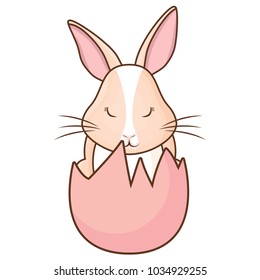 Cute rabbit icon 