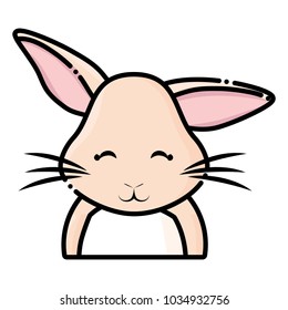 Cute rabbit icon 