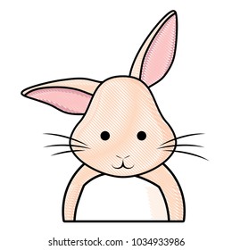 Cute rabbit icon 