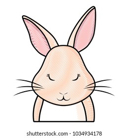 Cute rabbit icon 
