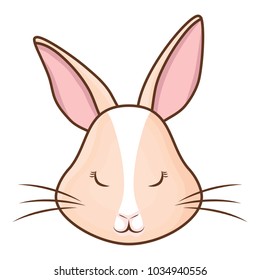 Cute rabbit icon 