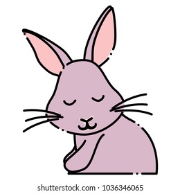 Cute rabbit icon