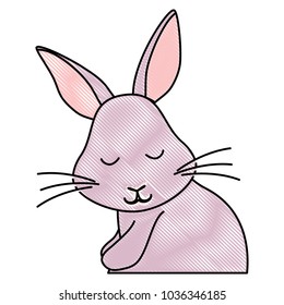 Cute rabbit icon